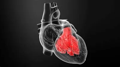 Can drugs cause an enlarged heart? An interview with an expert